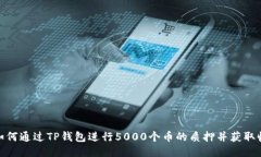 : 如何通过TP钱包进行500